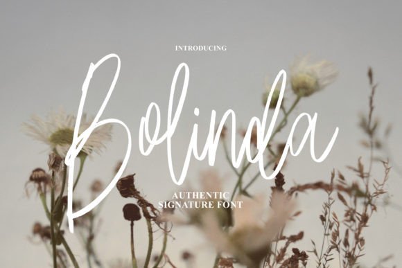 Bolinda: A Dazzling Script Font for Elegant Branding