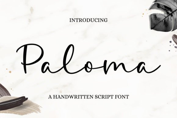 Paloma Typeface: Elevating Web Design with Graceful Script